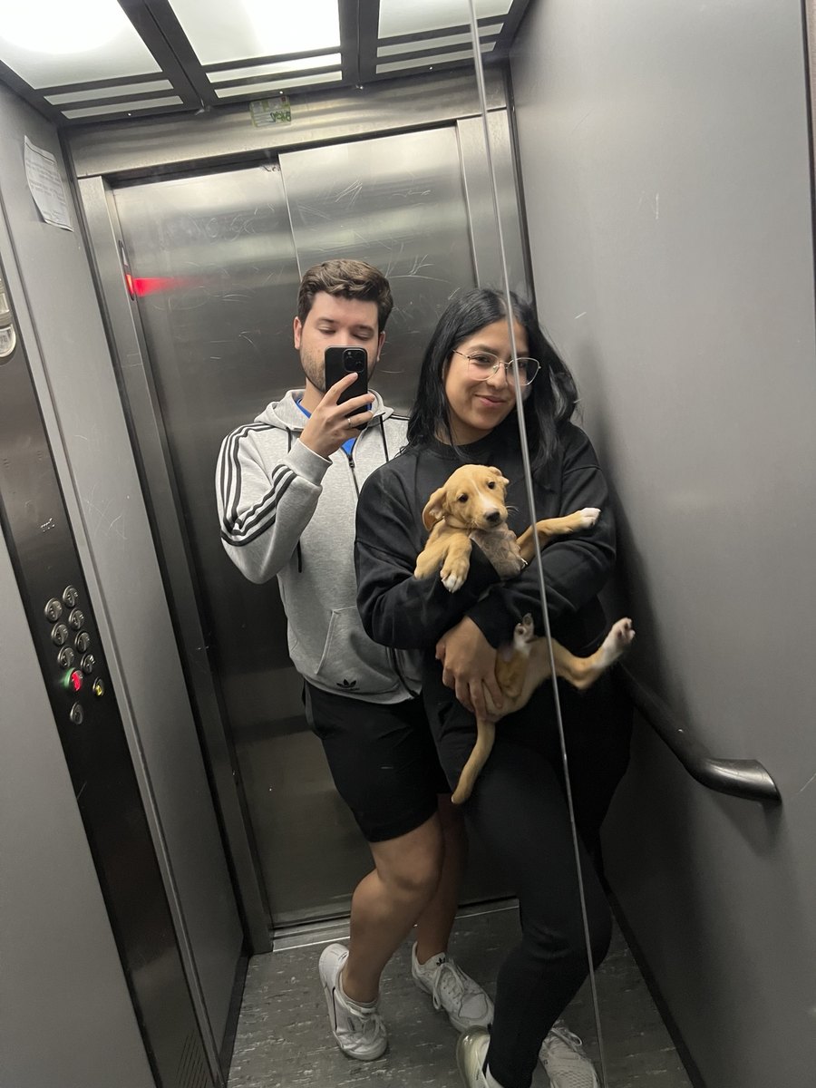 Foto de la pareja en un ascensor con un cachorro